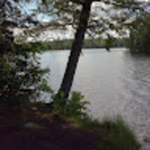 Meet your Posher, Barbara l